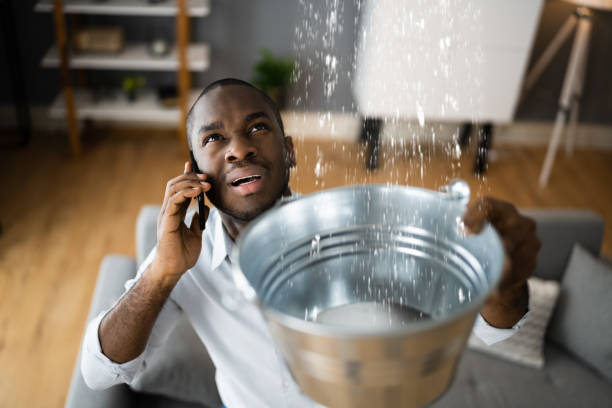 Best Commercial water damage restoration  in North Les, AK