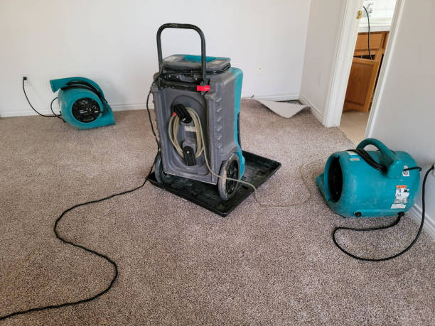 Best Carpet water damage restoration  in North Les, AK