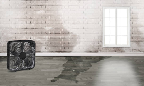 Best Ceiling water damage repair  in North Les, AK