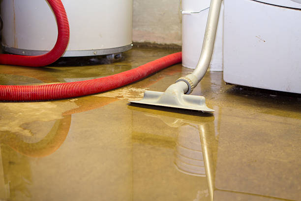 Water damage restoration experts in AK