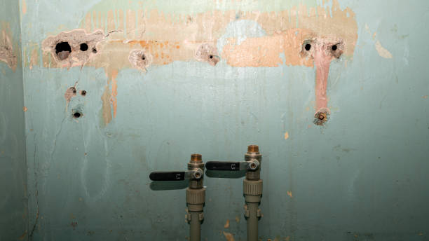 Best Water damage restoration insurance claims  in North Les, AK