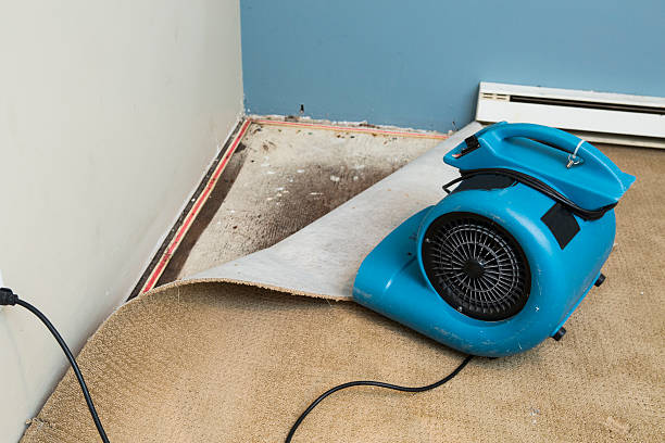 Best Water damage restoration near me  in North Les, AK